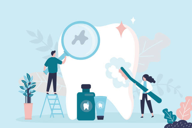 Rye Brook, NY Holistic Dental Care Services Company